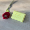 SAVON CITRON SAVON CITRON